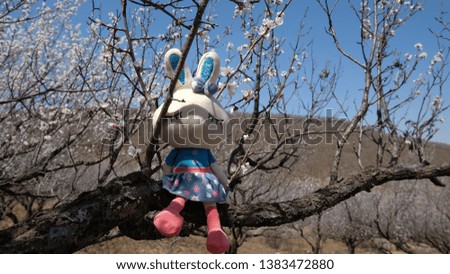 a stuffed toy rabbit sitting in a blooming apricot branch