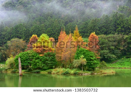 Trees on the hills, autumn and tranquil lake scenery.