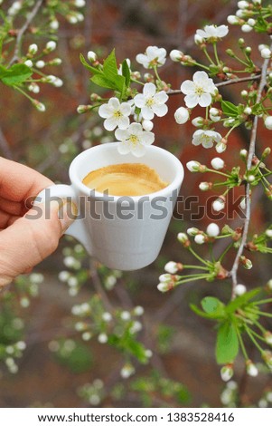 White cup with coffee espresso in man's hand on the background of blooming cherry tree in the garden