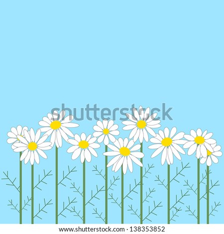 Number of chamomile flowers on a blue background