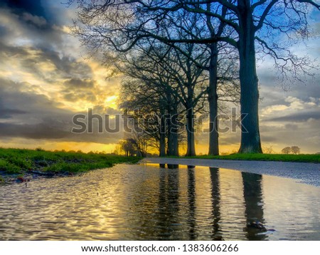Cloudy sunset or sunrise sky in a rural countryside landscape with grass and trees reflected in a puddle after the rain