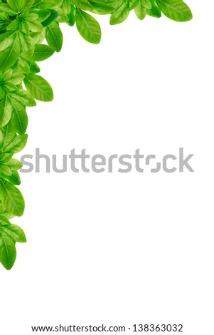 Green leaves corner frame on the white background Royalty-Free Stock Photo #138363032