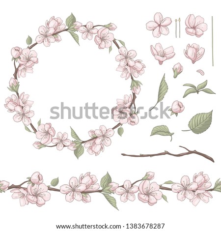 Vector set of sakura elements with wreath and seamless pattern brush isolated on white