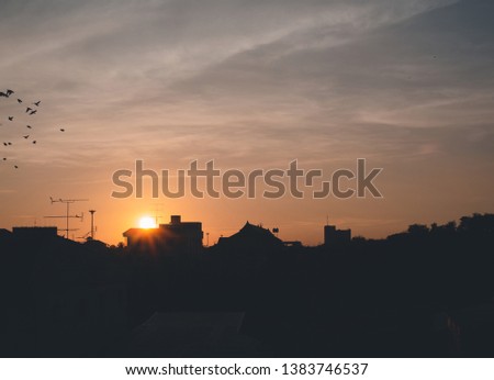 silhouette of city landscape at evening while birds flying on the sky. sunset behind the build.