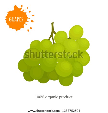 A bunch of green grapes with the name and the inscription: organic product. Vector grape isolated on white background.