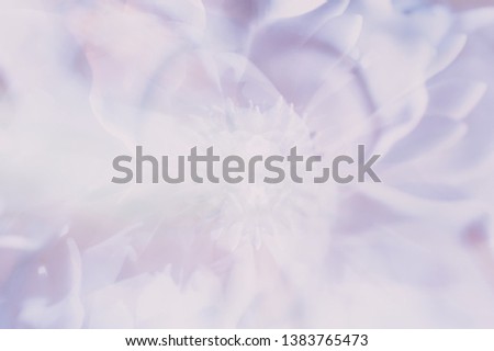 Abstract light purple floral background