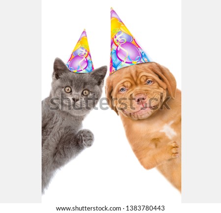 Kitten and puppy in birthday hats  behind white banner. isolated on white background