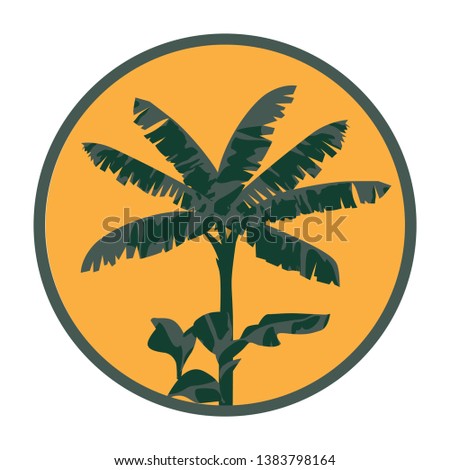 banana tree inside orange circle, vector 