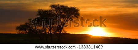 Sunset landscape of the Namib-Naukluft National Park is a national park of Namibia encompassing part of the Namib Desert (considered the world's oldest desert) and the Naukluft mountain range.