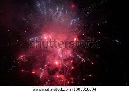 The beautiful and colorful fireworks exploding in the night sky