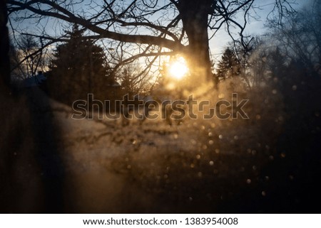 winter morning suns glow through frost and glass