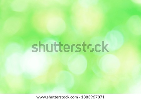 Green bokeh background from nature