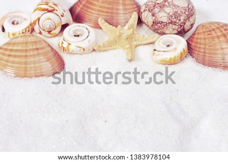 Summer time concept with seashells, star, sea pebbles on white sand background. Selective focus.