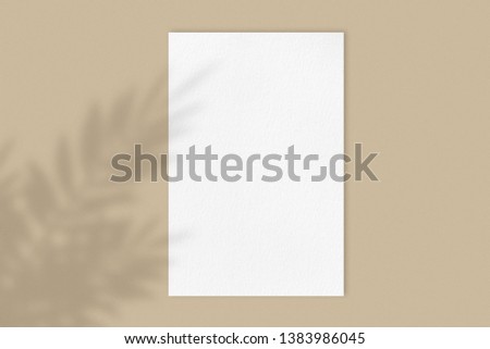 Blank white poster mockup on light pastel brown background with moody flower shadow, front view a4 paper sheet with copy space, close-up real picture 