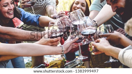 Group of friends cheering and toasting with red wine glasses at picnic party - Happy young people having fun drinking and eating together in the garden - Friendship, food and drink concept 