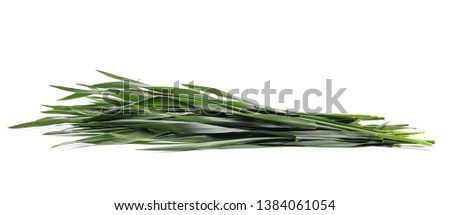 Green mowed young wheat isolated on white background, with clipping path