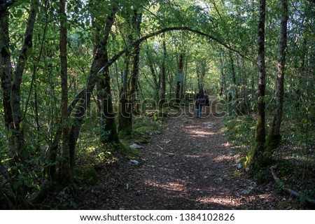 
Forests of Alaise where the last Gauls resided, known for the stories of Asterix and Obelix