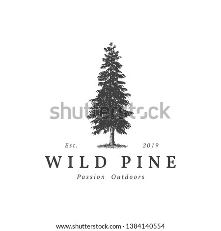 Vintage wild pine design logo vector, Evergreen logo design inspiration - vector Royalty-Free Stock Photo #1384140554