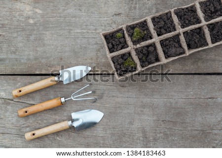 Paper starter tray and three pieces gardening kit on wooden background