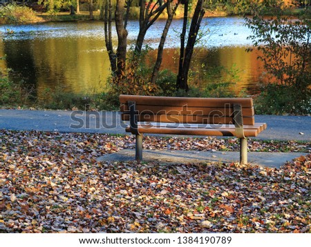 Park Bench in Fall -Seat by a pond in autumn with fallen leaves