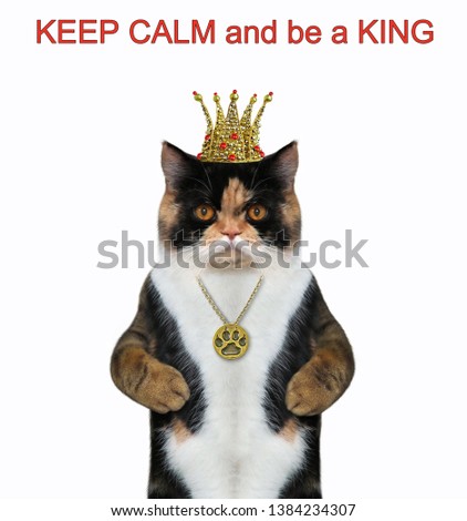 The cat is wearing a crown and a medallion. Keep calm and be a king. White background. Isolated.