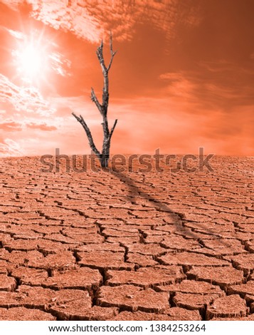 Dry waterless wasteland. Dead tree stub. Sun beams on red sky. Abstract scene. Parched cracked soil in barren landscape. Ecological calamity. Fantasy or sci-fi background. Nuclear catastrophe concept.
