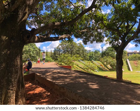 Sarah Kubitschek Park, with a diversity of trees, public park, amidst an incredible nature, tourist spot, sports, leisure, hiking, city of Brasilia.