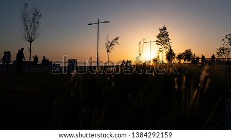 
Sunset in the park and nature