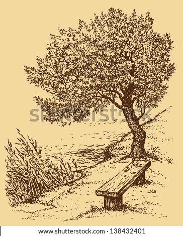 Vector landscape. Old bench near the tree on the bank of the lake