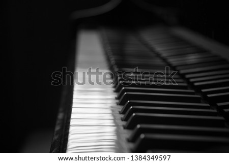 Black and White keys. Piano and Piano keyboard