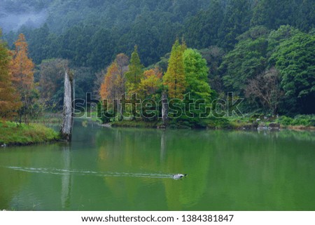 Lake View Autumn color and forest landscape