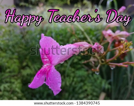 Concept of beautiful pink flowers with word HAPPY TEACHER'S DAY.