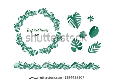 Set of different tropical leaves. Tropical leaves wreath and horizontal border. Monstera, philodendron, palm leaf. Isolated on white. Green color. Vector illustration.