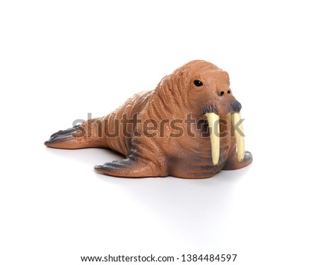 Toy walrus  isolated on white background.