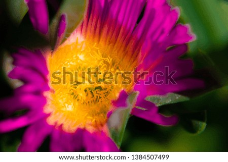 A close up macro photograph of a purple flower. 