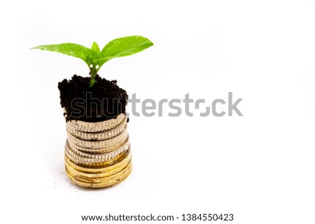 plant growing from coins isolated on white