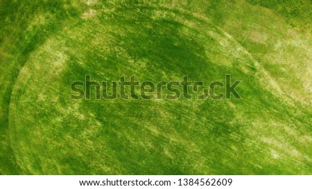 Aerial. Green grass texture background.
