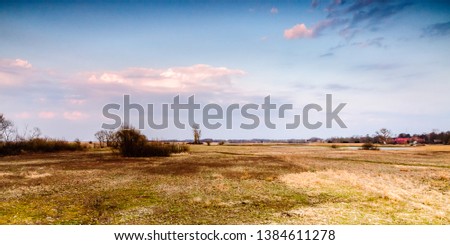 Biebrza Valley (Poland).  Sunset over the medows with trees on the background