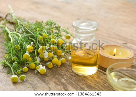 Essential oil in glass bottle with bouquet of fresh chamomile flowers,candle. Spa concept
