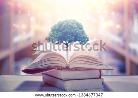 education concept with tree of knowledge planting on opening old big book in library with textbook, stack piles of text archive and aisle of bookshelves in school study class room Royalty-Free Stock Photo #1384677347