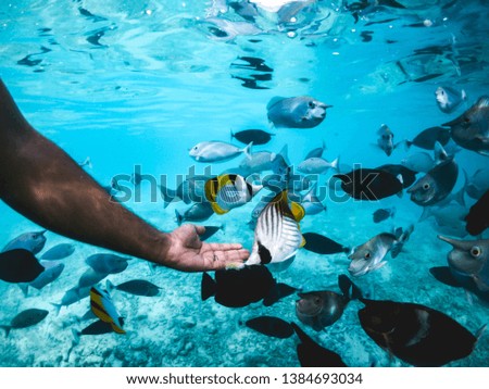Reach out - while doing snorkelling I took this picture when fishes were roaming around