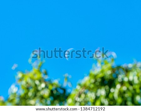 Crescent moon at midday with blue sky and green tree branches in the foreground out of focus