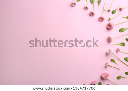 Flat lay composition with blooming daisies and space for text on color background. Spring flowers