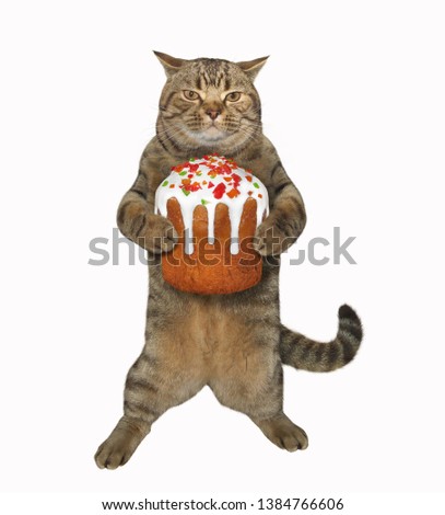 The cat is holding the big easter cake. White background. Isolated.