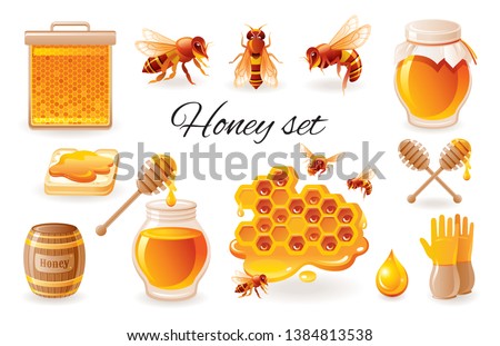 Honey beekeep icon set with honeycomb, honeybee -  bee insects, honey jar, drop, syrup toast. Realistic 3d color glossy vector illustrations isolated on white background. Organic food design concept Royalty-Free Stock Photo #1384813538