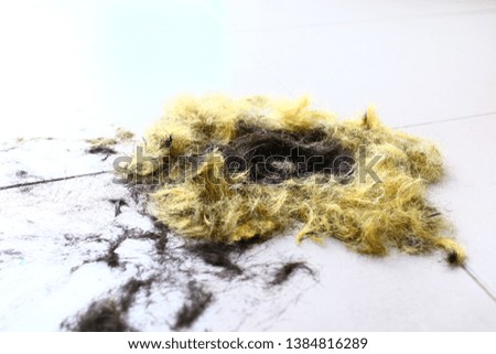 hair cut off on white background.Hair cut off isolated,hair yellow cut off on white background 