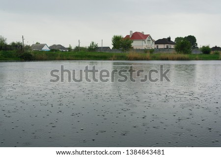 Rain on the lake. Raindrops fall on the surface of the lake, forming large bubbles and splashing into the water, from which circles spread over the surface of the lake. 