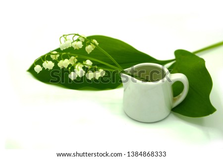 Lily of the valley Convallaria majalis flower, leaves and ceramic white vase isolated on white background.
