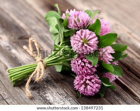 Red clover on a wooden background