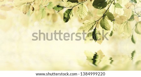 Sunny autumn nature background with leaves reflection in water, fall design. Vintage stylization, retro film filter